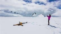 20 Min Scenic Flight With Fox Glacier Snow Landing - Glacier Helicopters